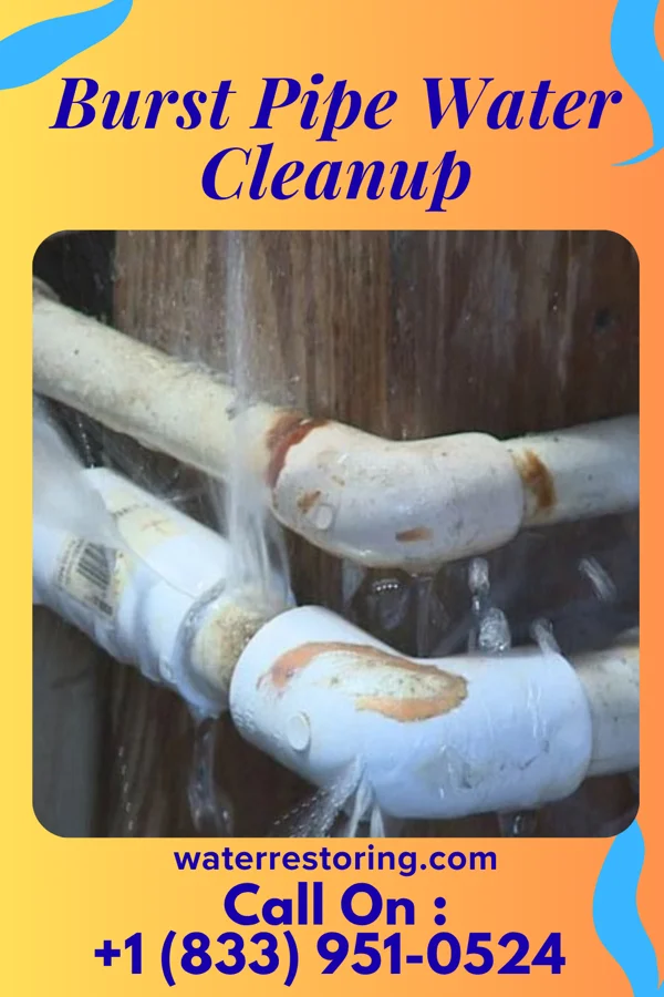 Burst Pipe Water Cleanup in Dawson Springs, KY