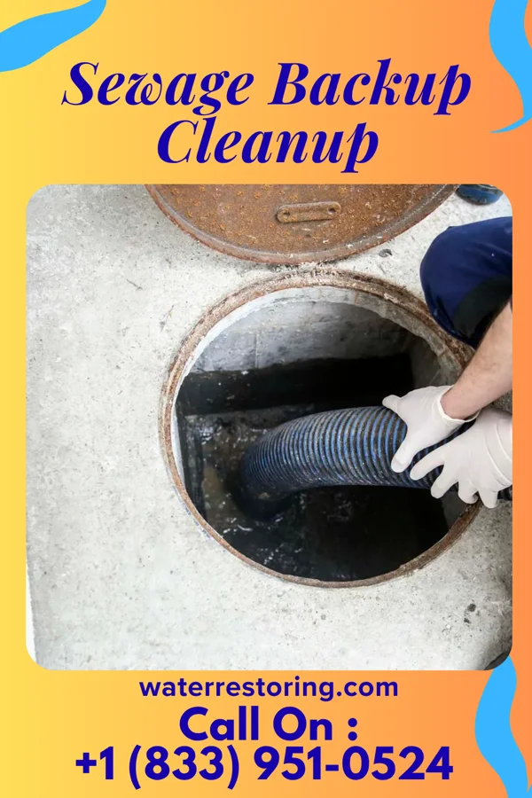 Sewage Backup Cleanup in Dawson Springs, KY
