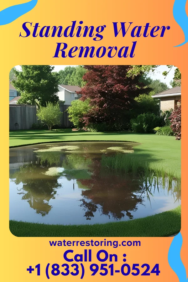 Standing Water Removal in Dawson Springs, KY
